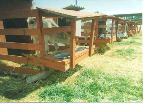 Aç?kta seyyar buza?? kulübeleri